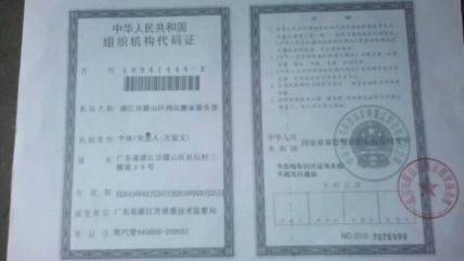 图片展示